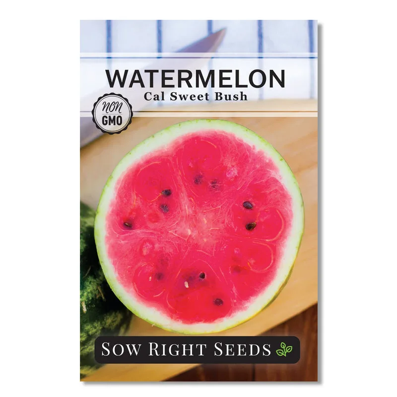 Watermelon, California Sweet Bush ( Patio ) 10 Seed Count - Image 2