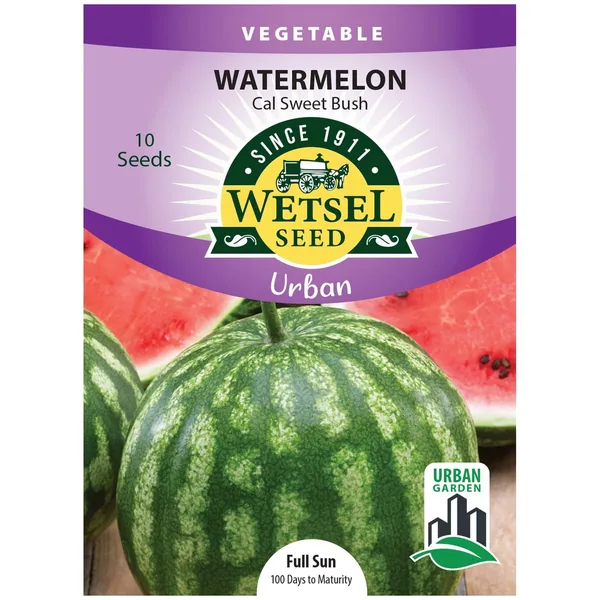 Watermelon, California Sweet Bush ( Patio ) 10 Seed Count