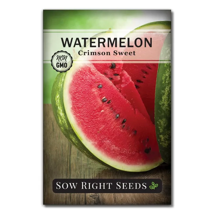 Watermelon, Crimson Sweet 3 Grams - Image 2
