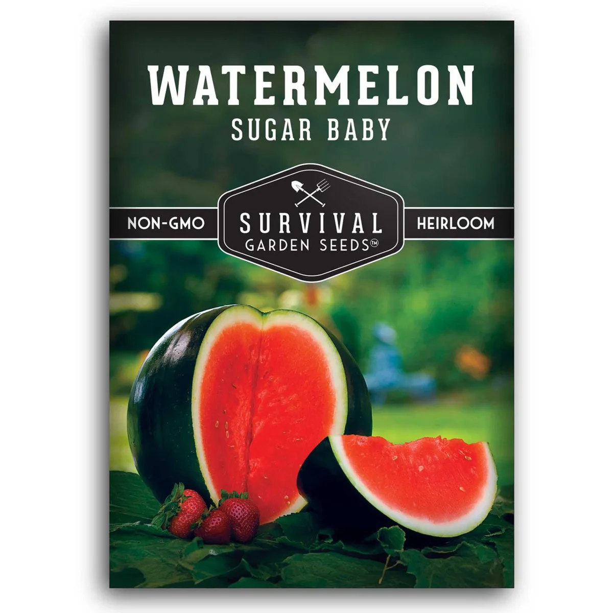 Watermelon, Sugar Baby 3 Grams - Image 2