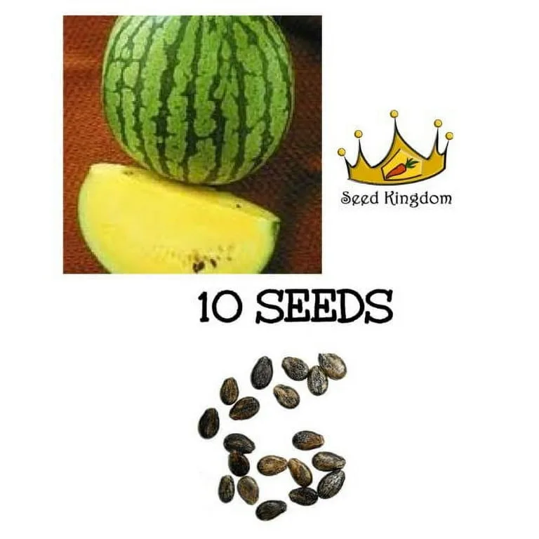 Watermelon, Yellow Doll Hybrid 10 Seed Count - Image 2