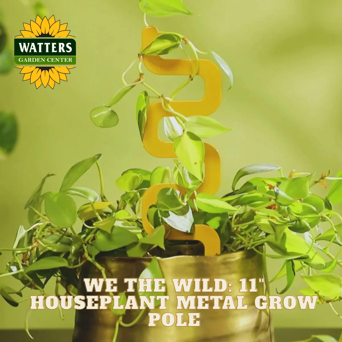 We The Wild 11" Houseplant Metal Grow Pole Yellow - Image 2