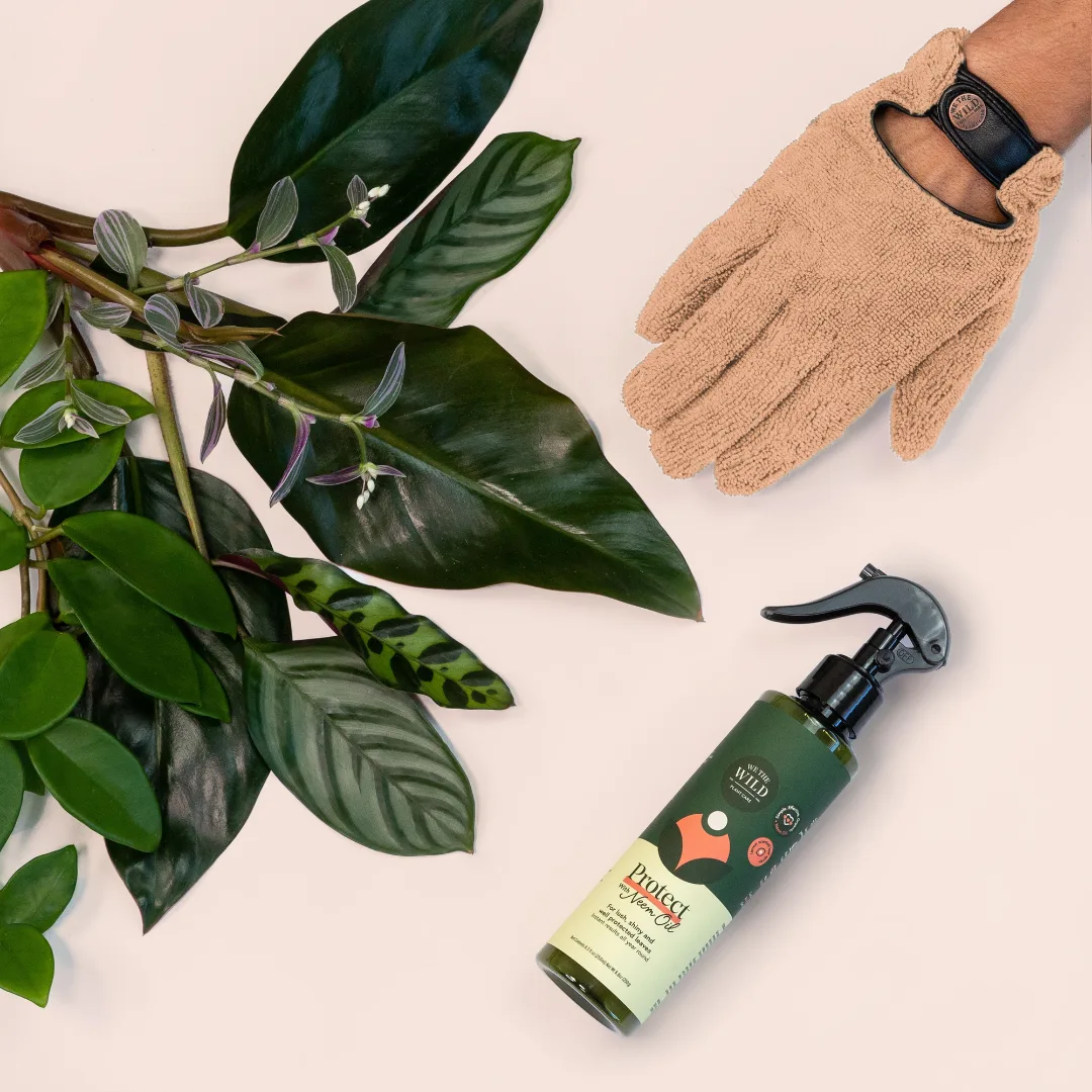 We The Wild Proud Plant Mum Leaf Care Kit with Glove - Image 2