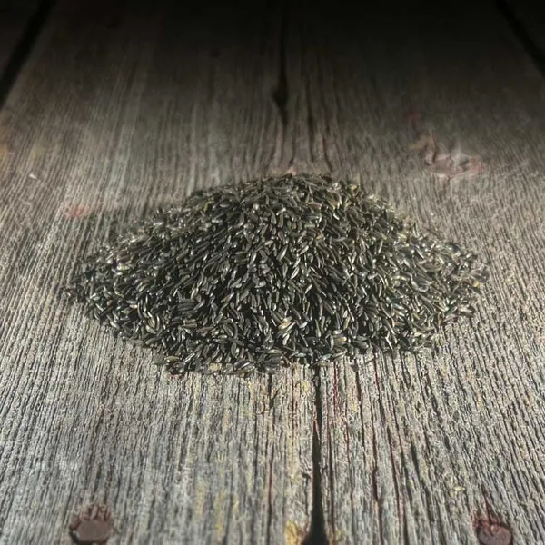 Wetsel Nyjer Seed 50lb