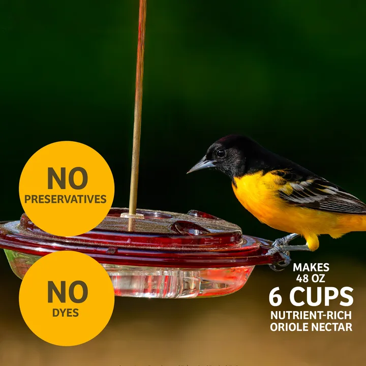 Wild Bird Lovers 8oz Clear Oriole Nectar - Image 2