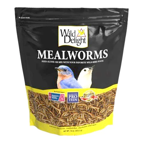 Wild Delight 16oz Mealworms