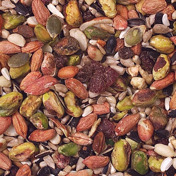 Wild Delight 20 lbs Woodpecker Nuthatch Food MADE IN THE USA