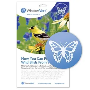 WindowAlert Butterfly UV-Reflective Anti-Collision Bird Deterrent Window Decal