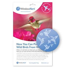 WindowAlert Hummingbird UV-Reflective Anti-Collision Bird Deterrent Window Decal