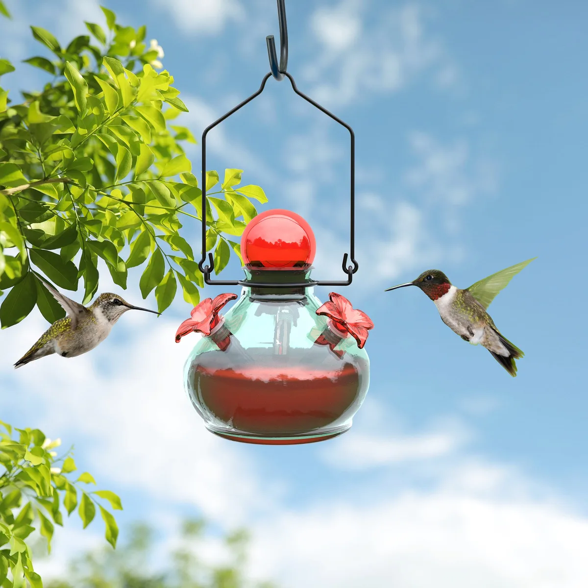Woodlink 5" Round Glass Hummingbird Feeder Assorted - Image 2