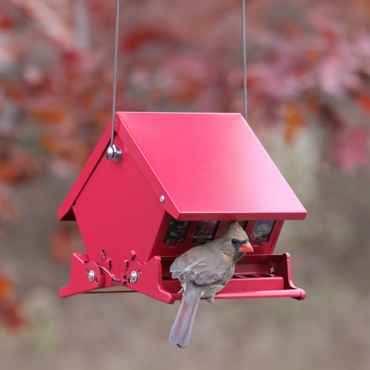 Woodlink Mini Absolute II Squirrel Resistant Feeder - Image 2