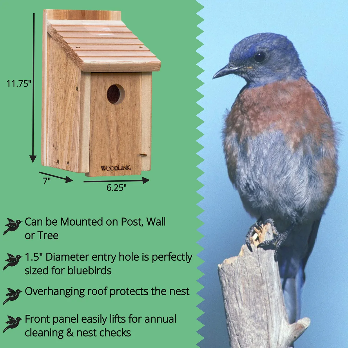Woodlink Rustic Farmhouse Bluebird House Galvanized Roof - Image 2