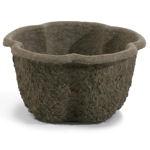 Wp 12 Clover Pot 106127 (Case of 20)