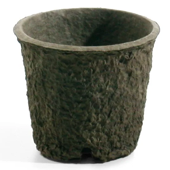 Wp 6x6in Deep Rnd 2.48qt 100127 (Case of 44)