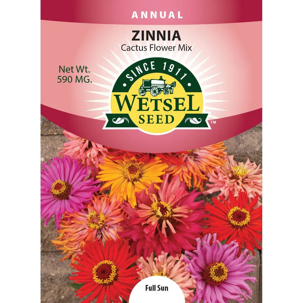 Zinnia, Cactus Flower Mix 590mg - Image 2