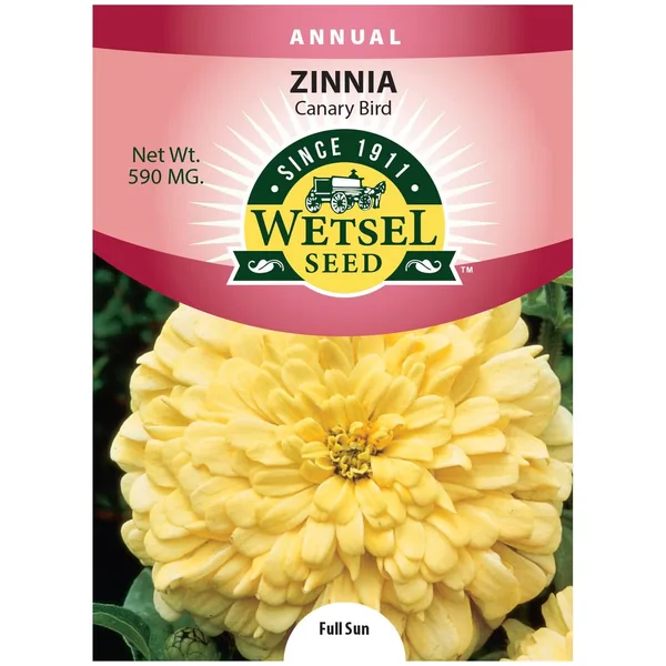 Zinnia, Canary Bird 590mg
