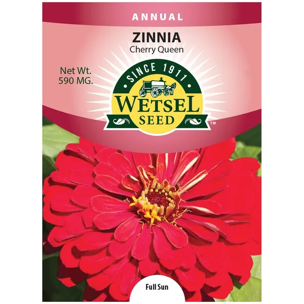 Zinnia, Cherry Queen 590mg