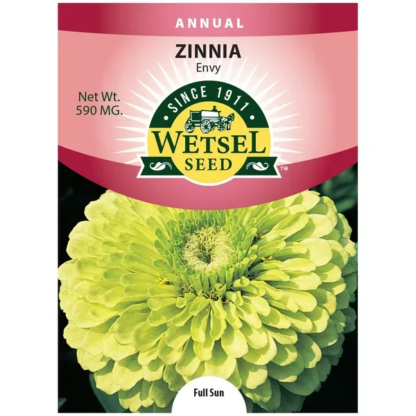 Zinnia, Envy 590mg - Image 2