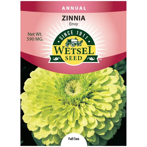 Zinnia, Envy 590mg