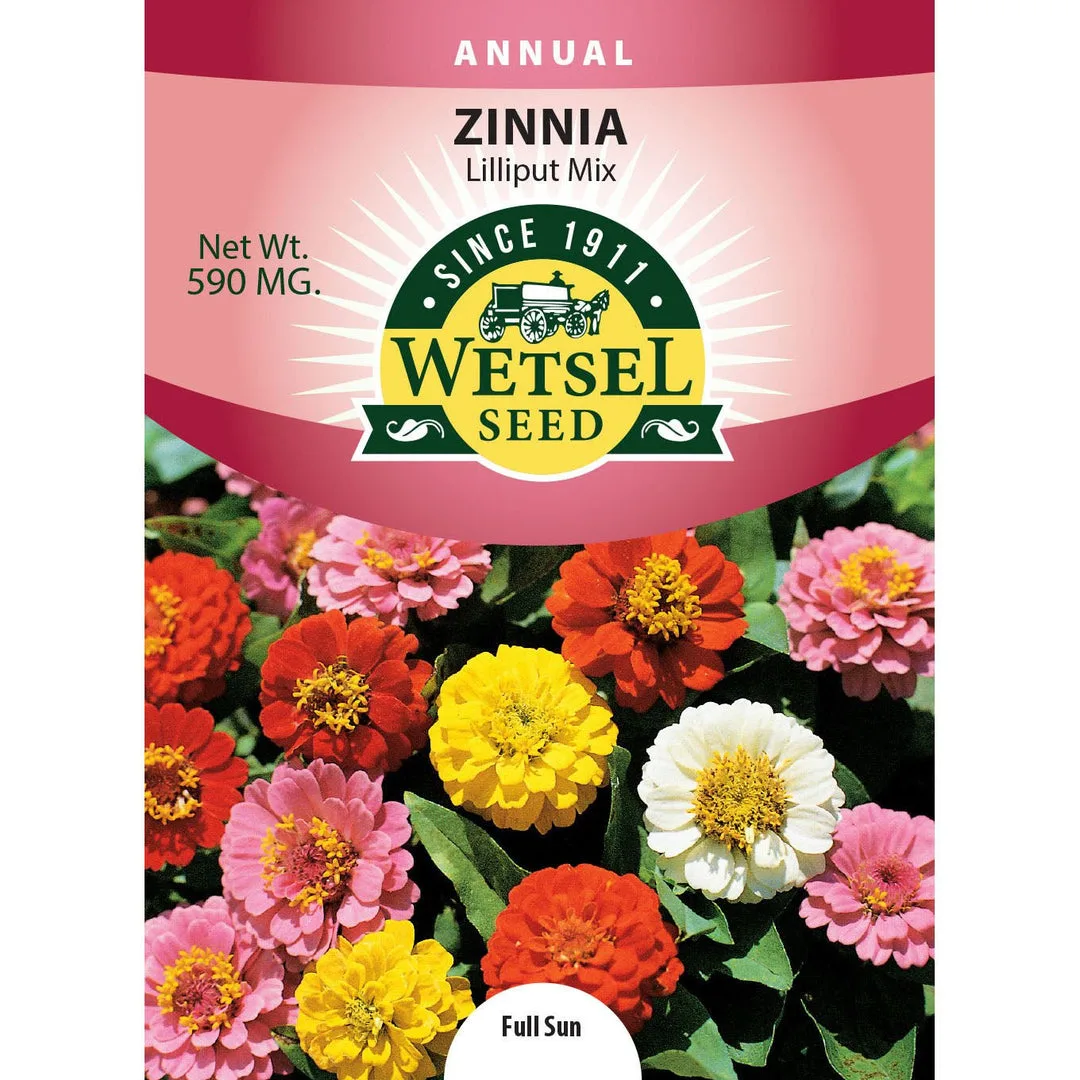 Zinnia, Lilliput Mix 590mg - Image 2