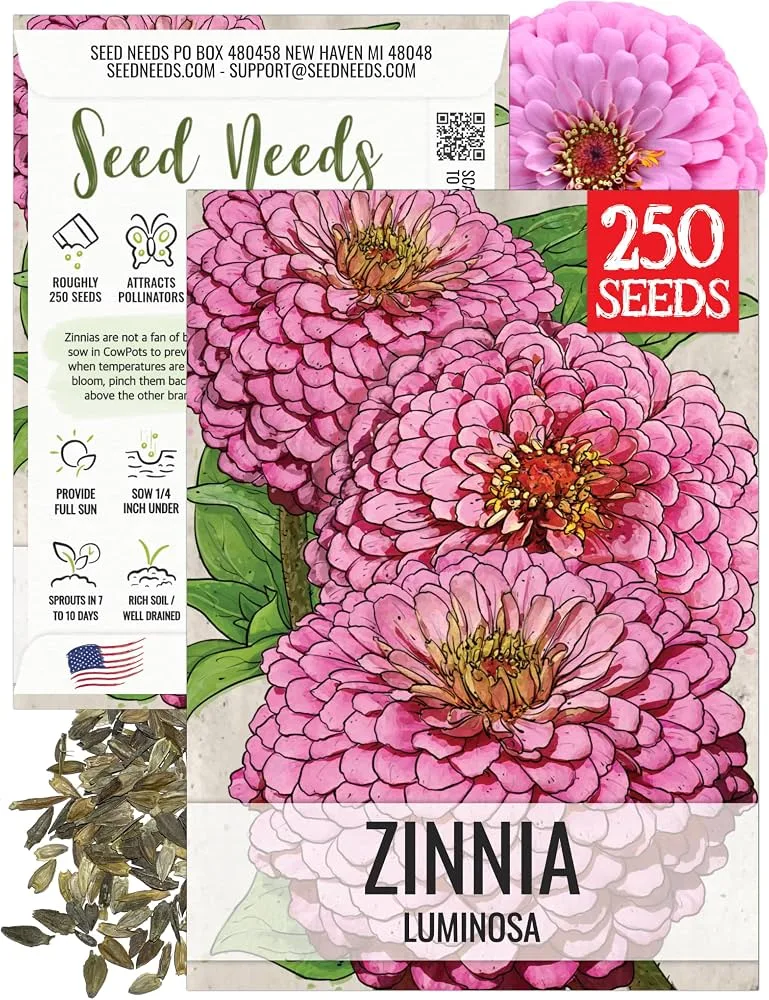 Zinnia, Luminosa Pink 590mg - Image 2