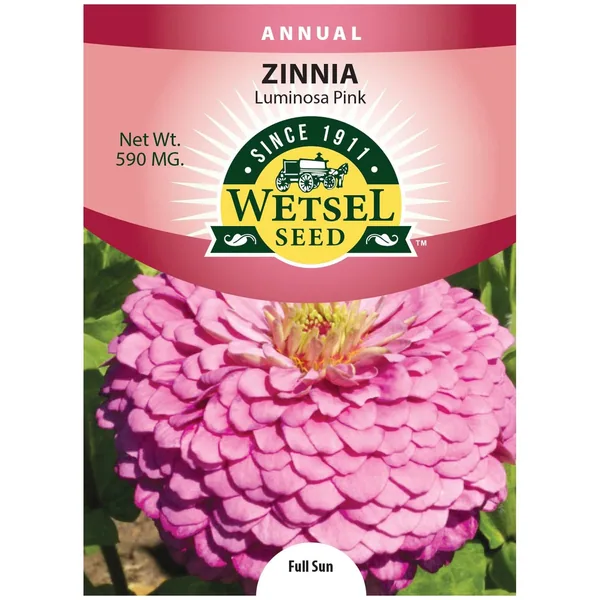 Zinnia, Luminosa Pink 590mg