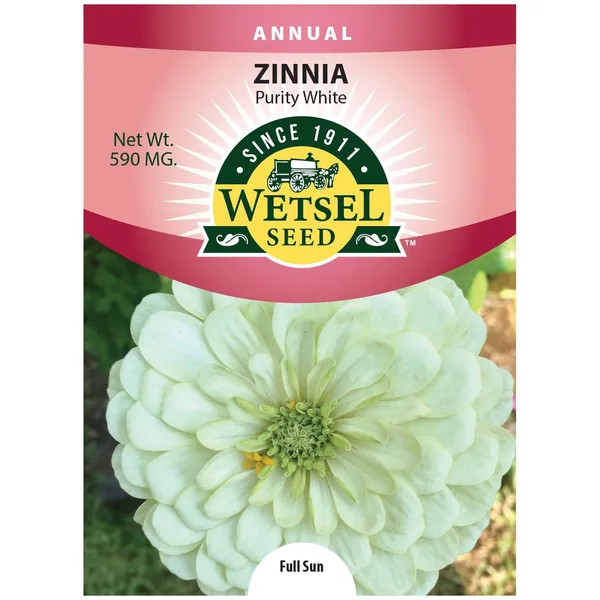 Zinnia, Purity White 590mg