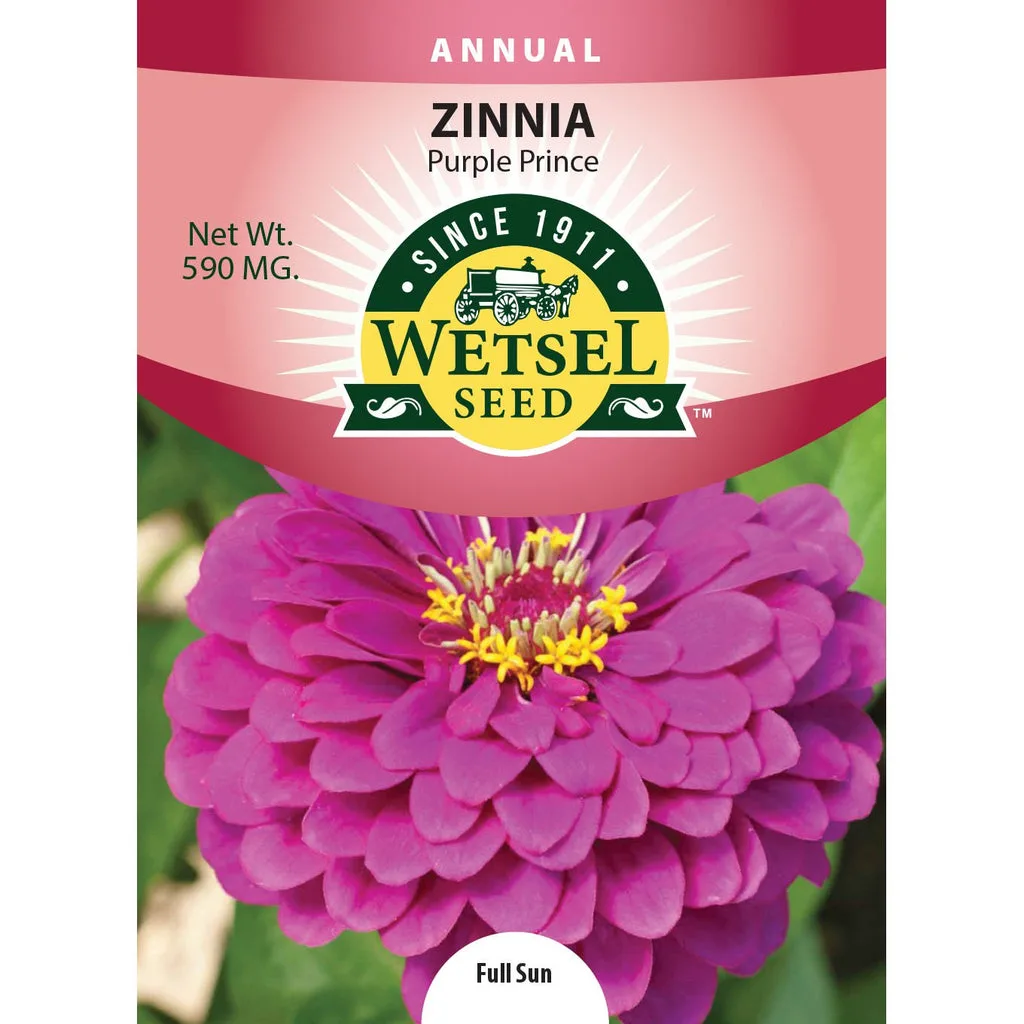 Zinnia, Purple Prince 590mg - Image 2