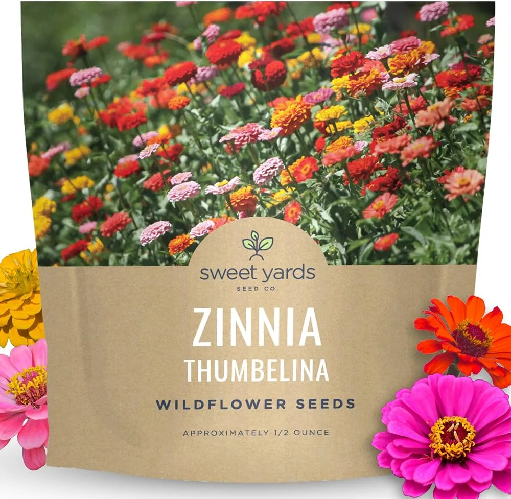 Zinnia, Thumbelina 590mg - Image 2
